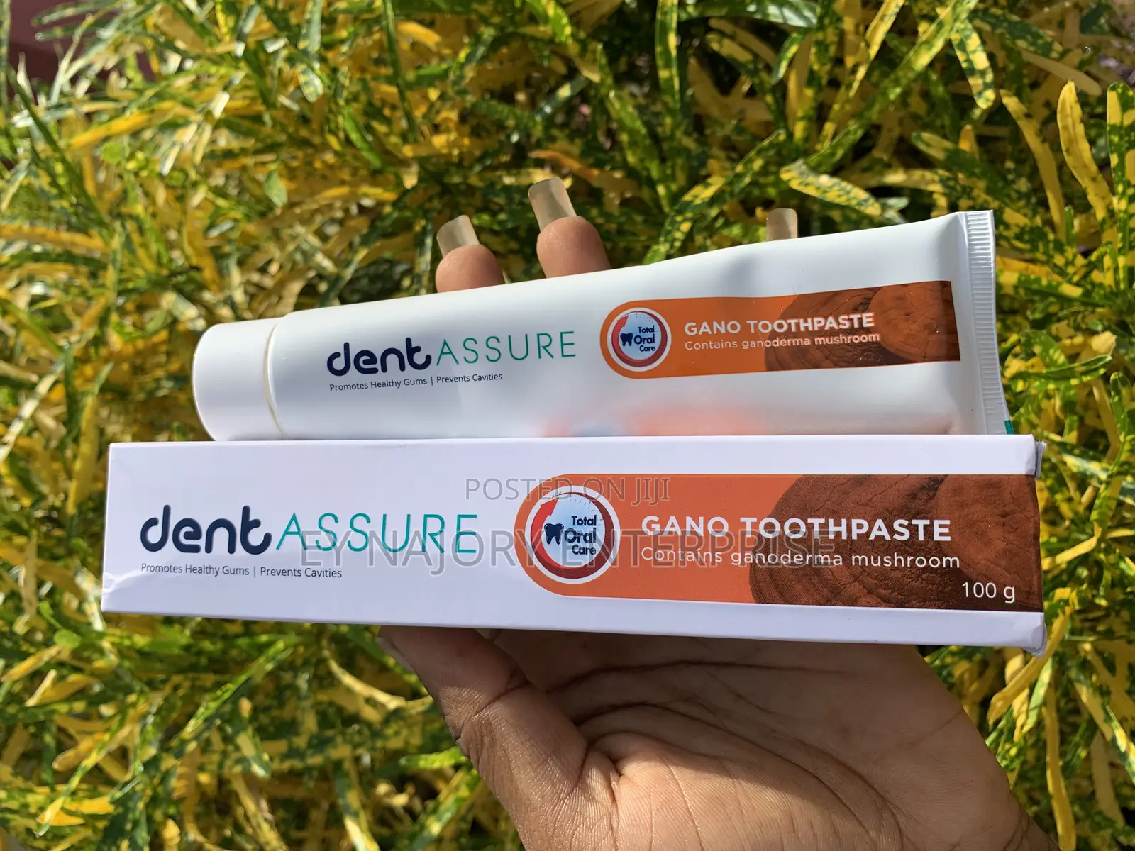 Dentassure Gano Toothpaste