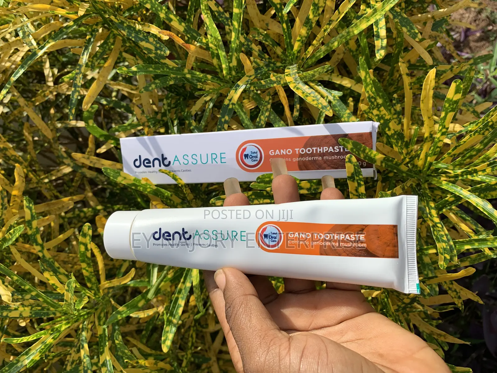 Dentassure Gano Toothpaste
