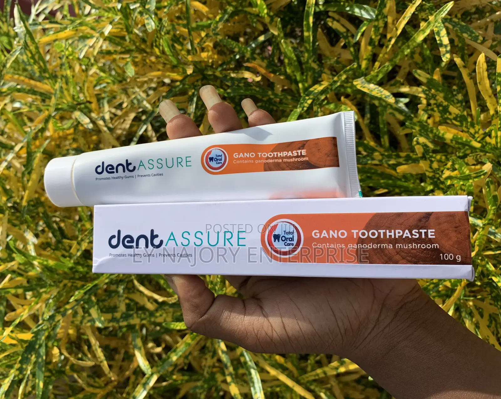Dentassure Gano Toothpaste