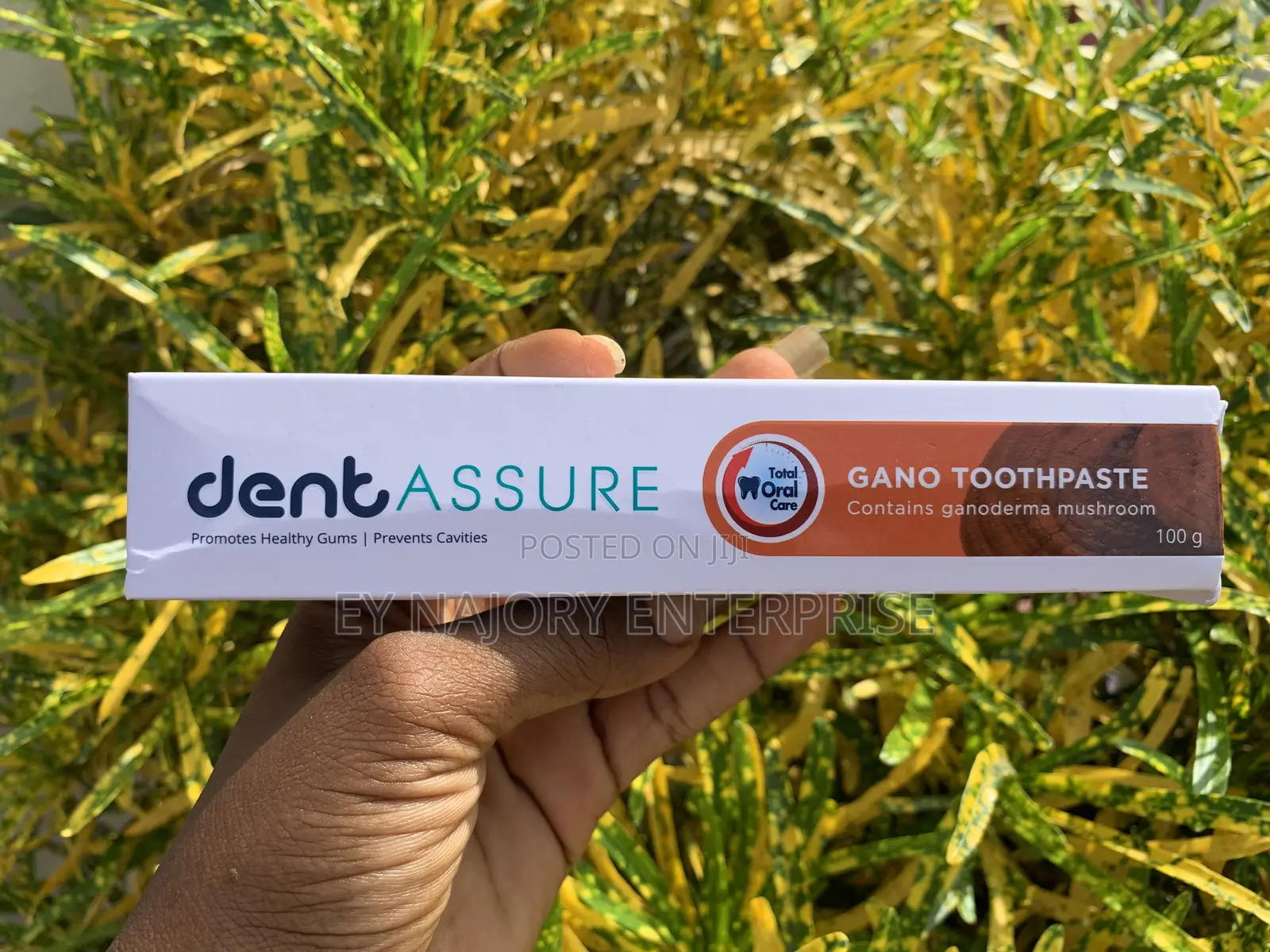 Dentassure Gano Toothpaste