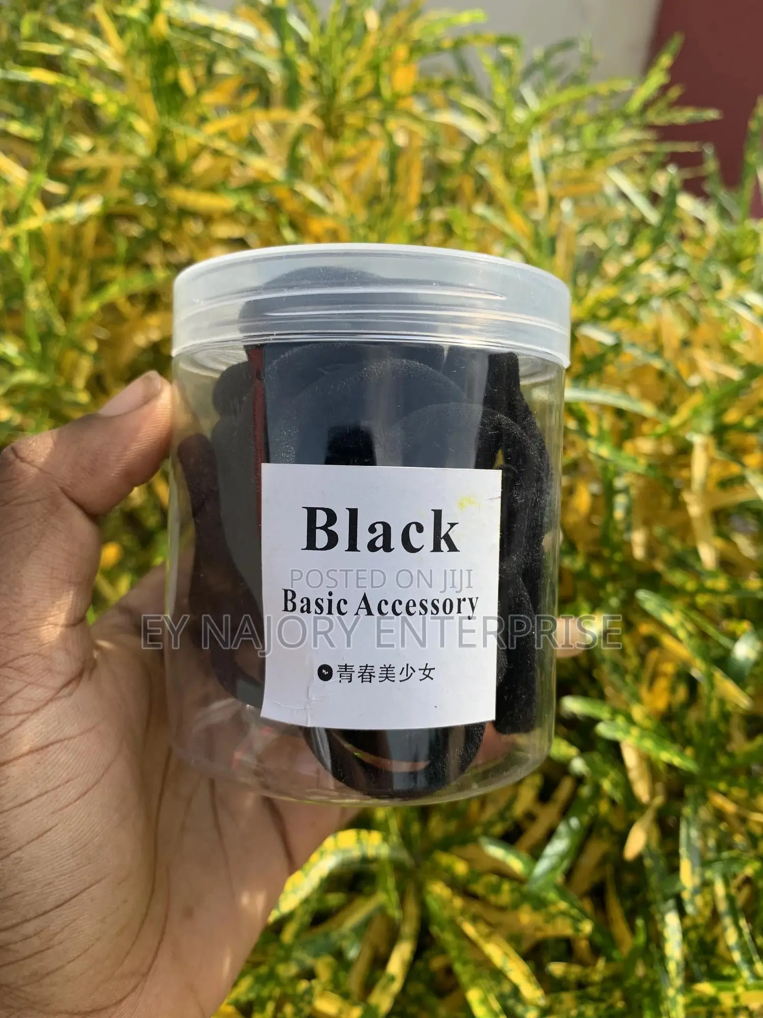 Hair Elastic Band (50pieces in a Container)