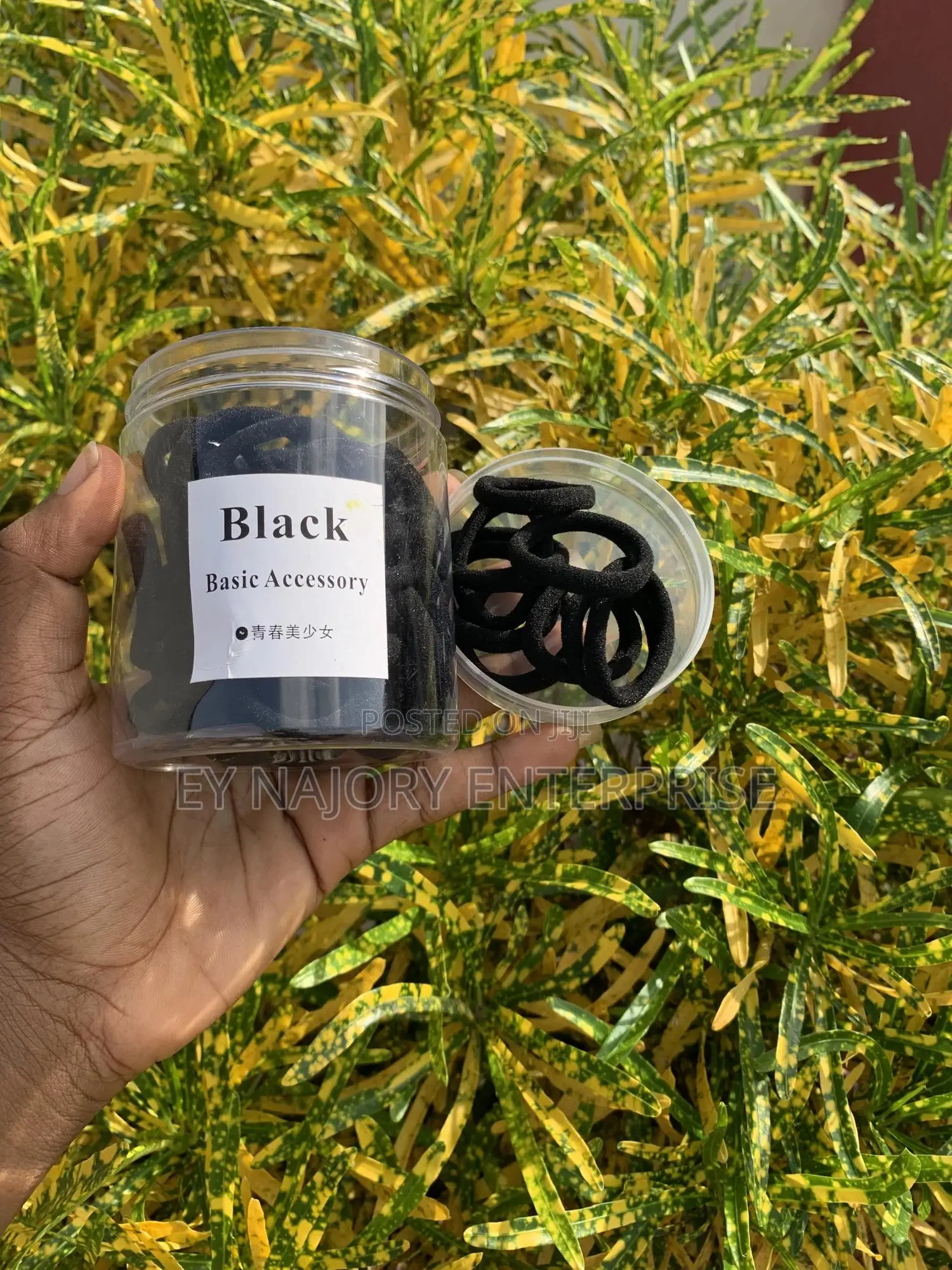 Hair Elastic Band (50pieces in a Container)