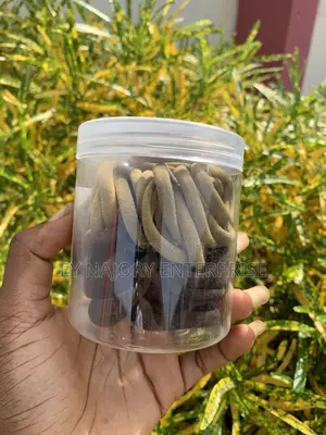 Hair Elastic Band (50pieces in a Container)