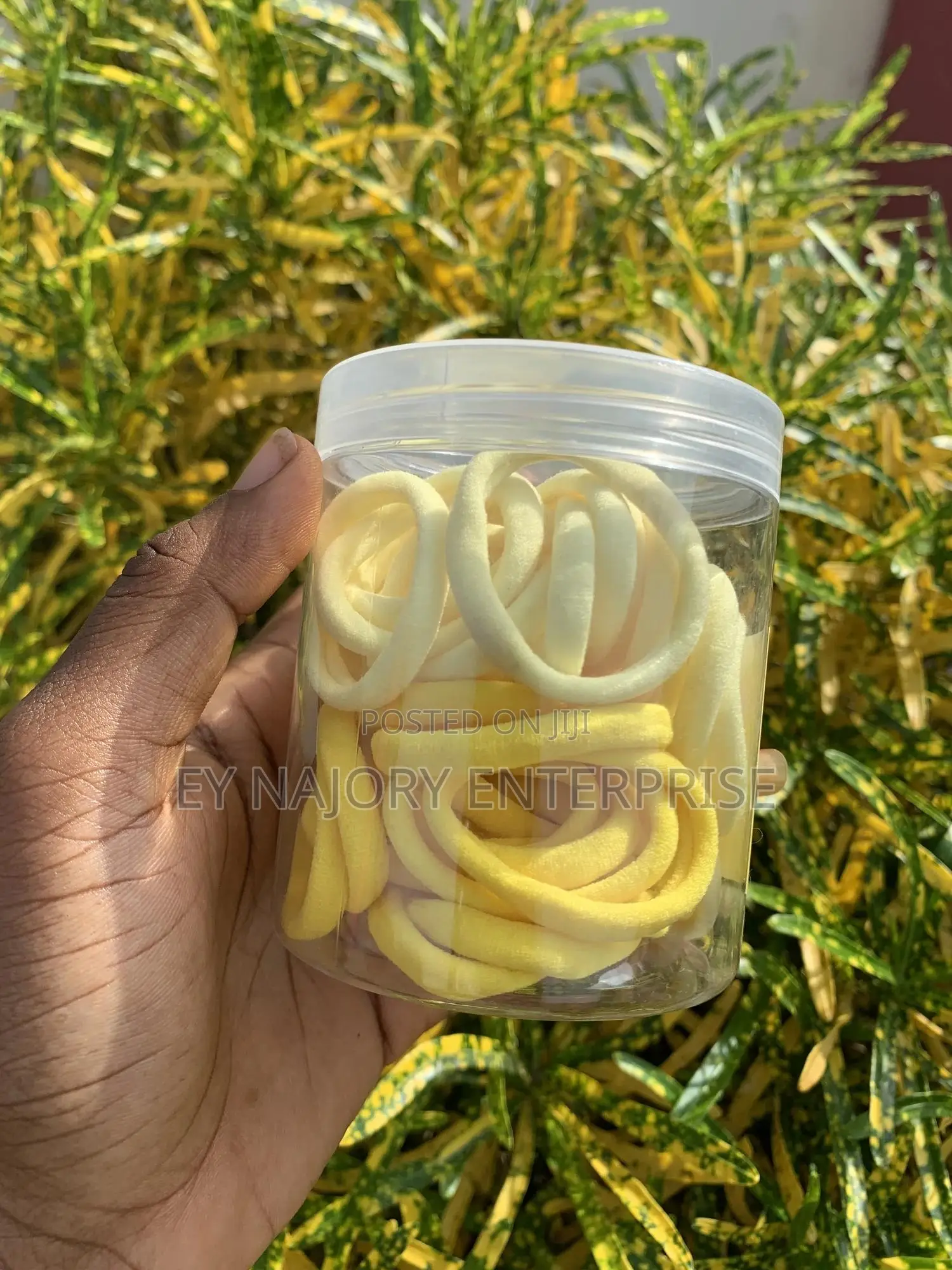 Hair Elastic Band (50pieces in a Container)