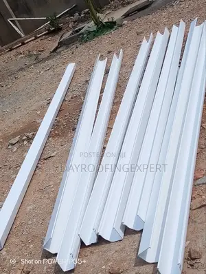 Roof Gutter System