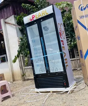 Extremely Cooling Pearl Electric Beverage Cooler(Pvc 622)