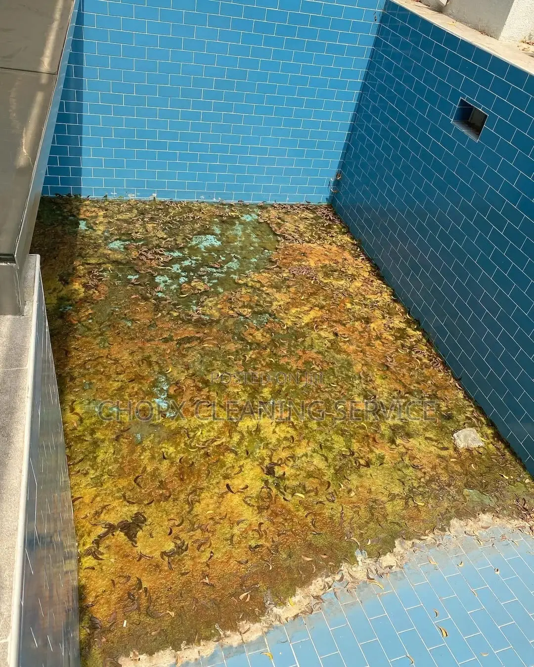Pool Cleaning and Window