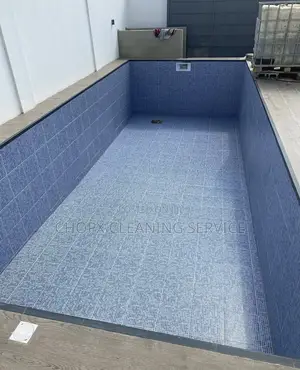 Pool Cleaning and Window