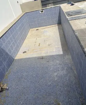 Pool Cleaning and Window