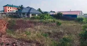One Acre Land With 3bedrooms House for Sale in Tema C 25