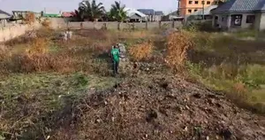 One Acre Land With 3bedrooms House for Sale in Tema C 25