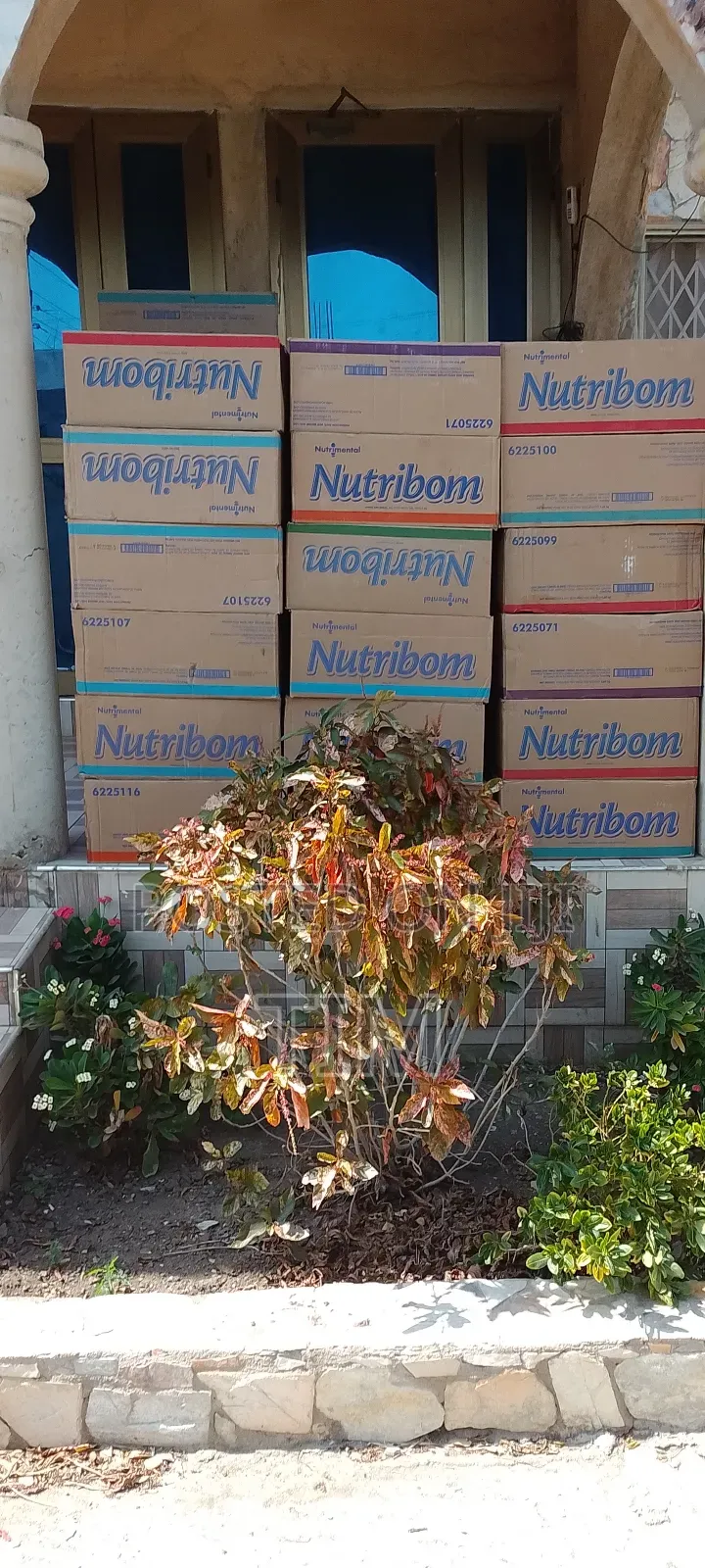 Nutribom on Wholesale