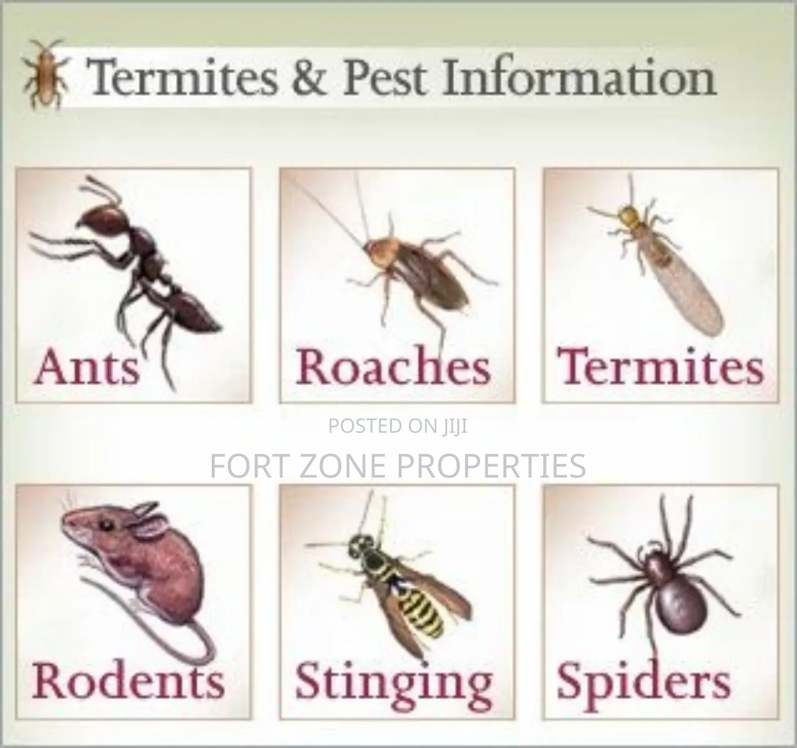 Teshie Fumigation Service With Cleantex