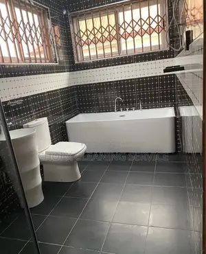 Cleaning and Maintenance