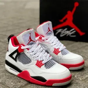 Photo - Jordan 4 Flights