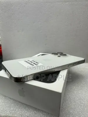 Apple iPhone 15 Pro Max 256 GB