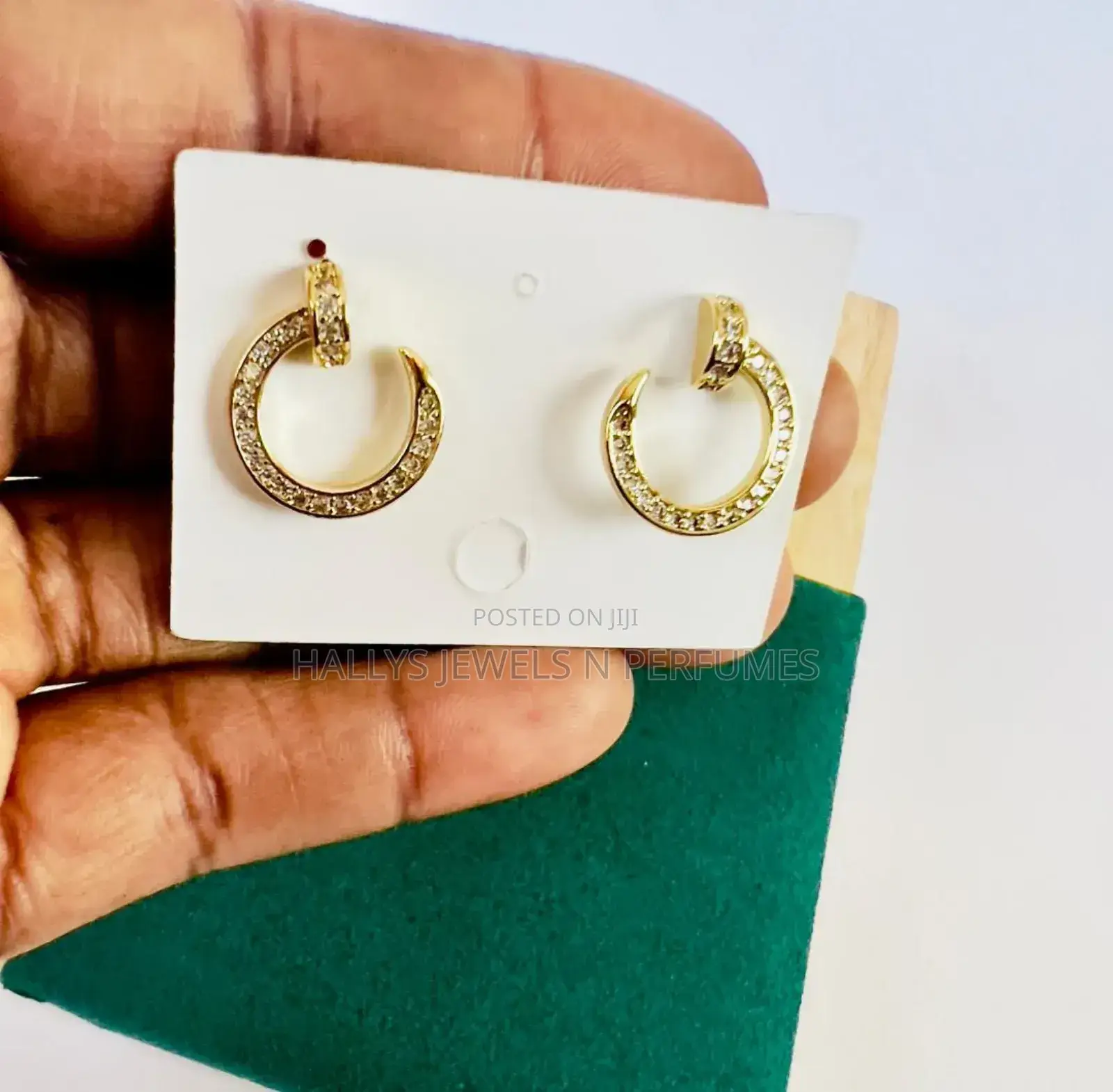 Luxury Brands Earrings