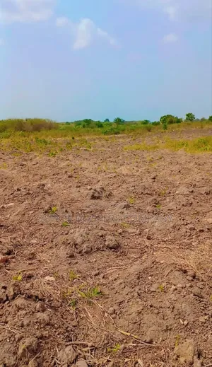 Buy Land at Tsopoli and Small Small.