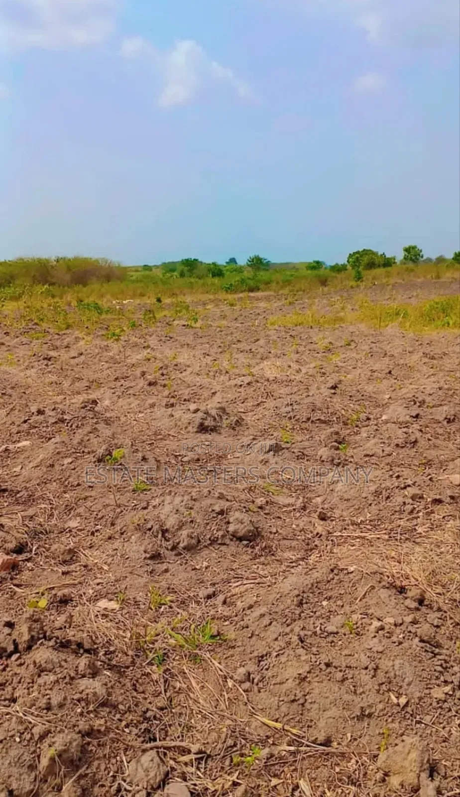 Buy Land at Tsopoli and Small Small.
