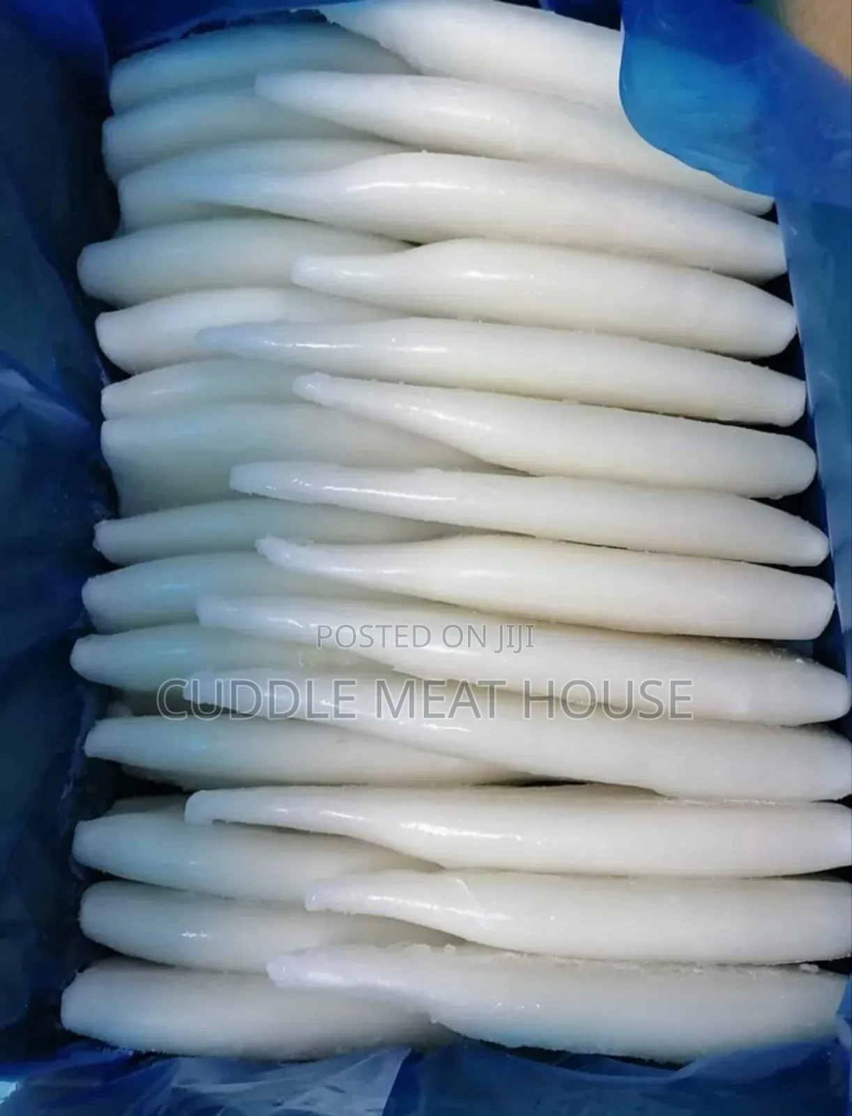 Squid Calamari Tubes