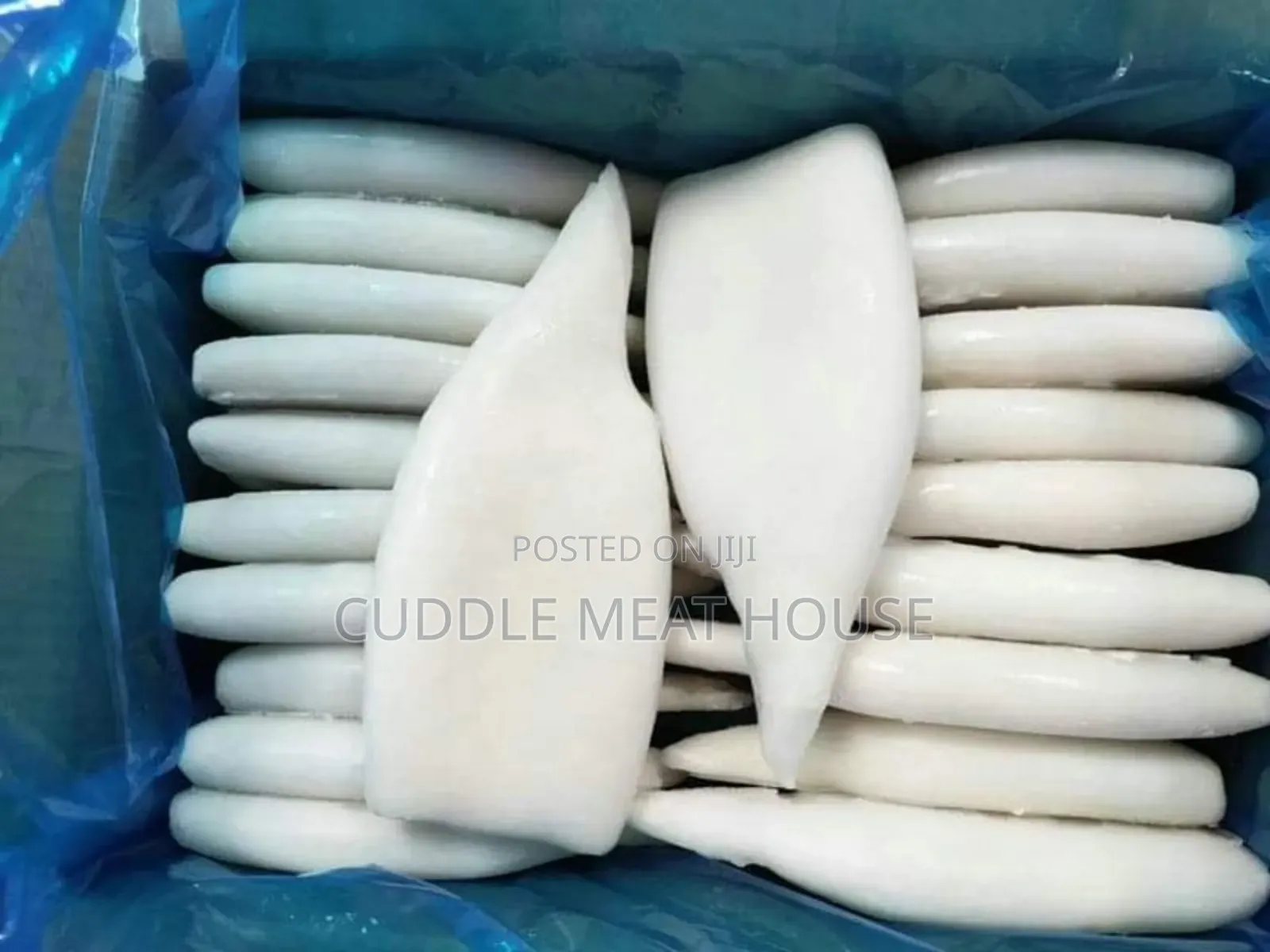 Squid Calamari Tubes