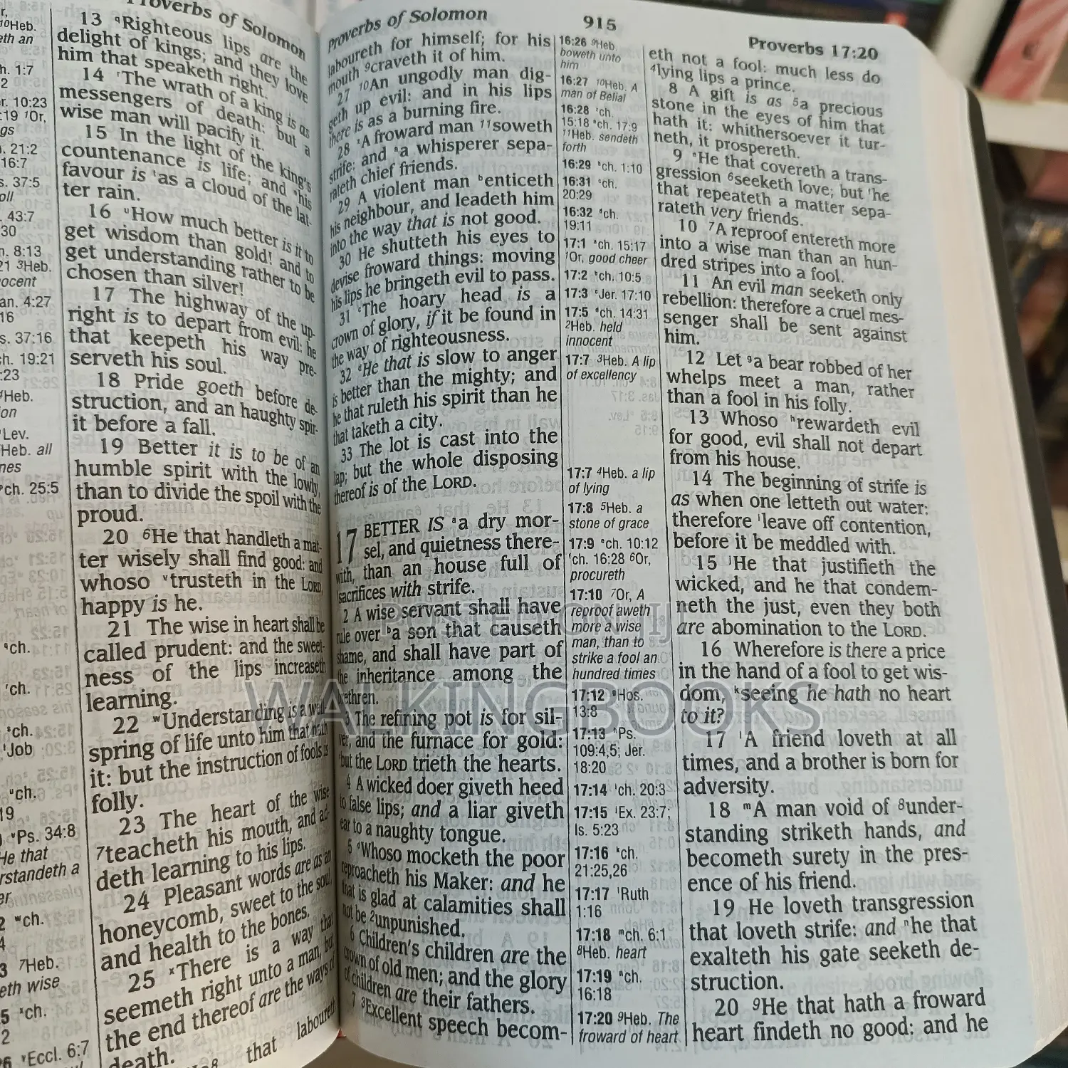 KJV Reference Bible,Giant Print