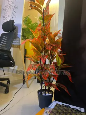 Decorating Flowers