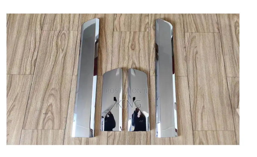 2018 - 2024 Toyota Landcruiser Silver Door Molding Mouldings