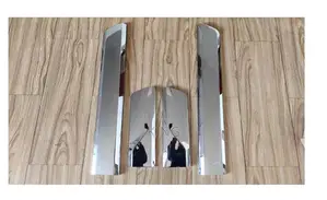 2018 - 2024 Toyota Landcruiser Silver Door Molding Mouldings