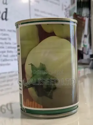 Garden Eggs Seed - Kotobi+