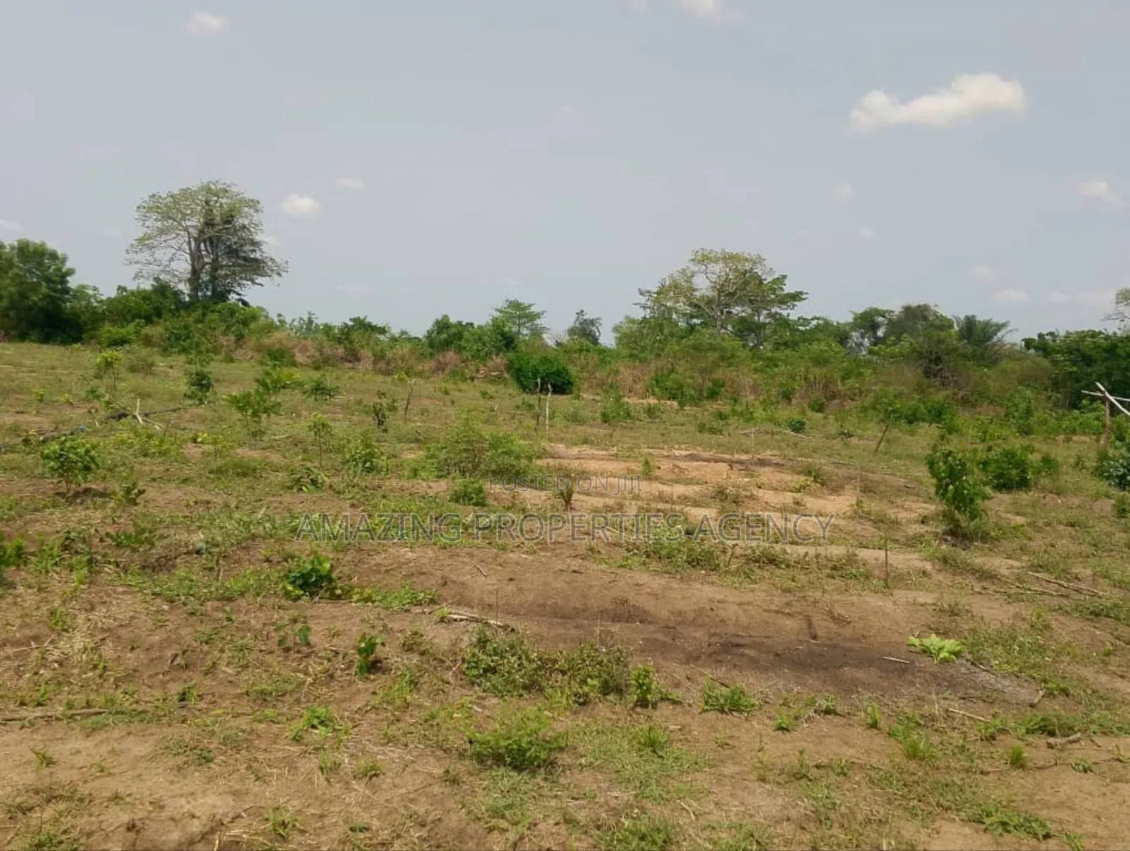 12 Plots of Land for Sale at Kokrobite