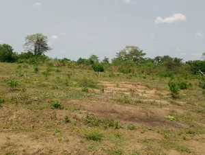 12 Plots of Land for Sale at Kokrobite