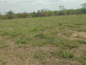 12 Plots of Land for Sale at Kokrobite