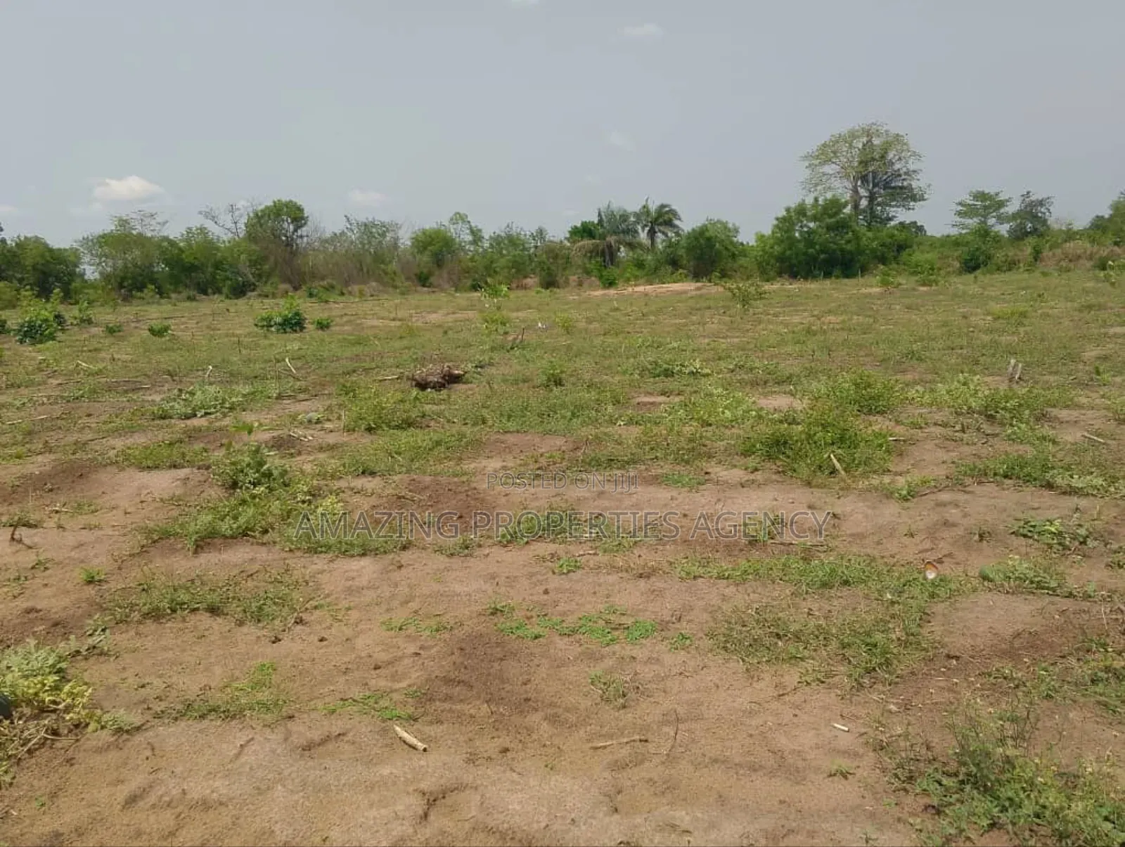 50 Acres of Land for Sake at Sakumono