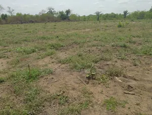 50 Acres of Land for Sake at Sakumono