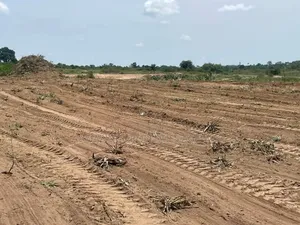 50 Acres of Land at Beach Land Title for Sale Ningo Prampram