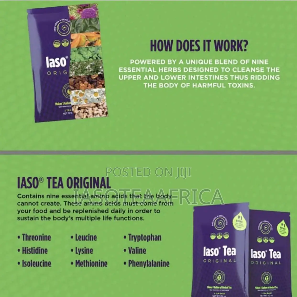 Iasoteaafrica
