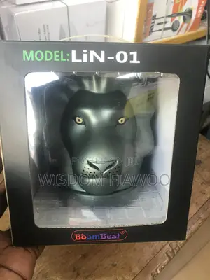 Boombest Loin Speaker (Solid Sound)