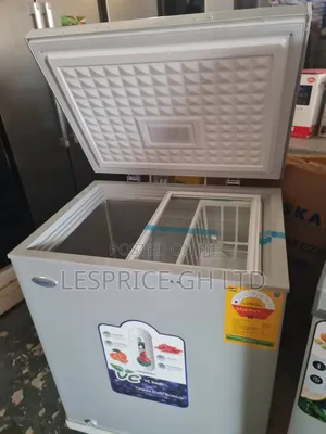 Eskay 147l Energy Efficient Freezer