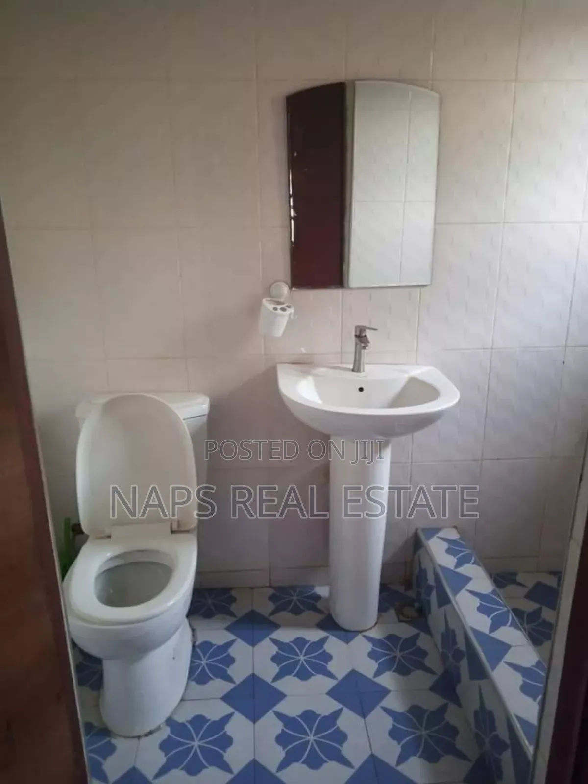 1bdrm Apartment in Naps Real Estate, Awutu Senya East Municipal