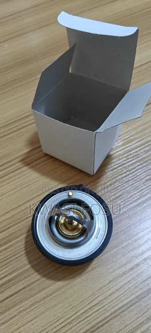 Hyundai Thermostat,Veloster,Accent,Sonata,Tucson,2012 to 19