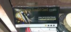 Professional Condenser Microphone