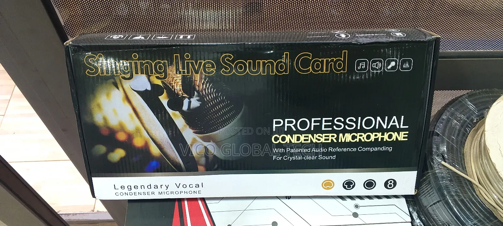 Professional Condenser Microphone