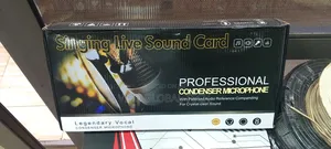 Professional Condenser Microphone