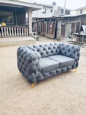 This Is Original Sofas 2 Seaters Chair Fabric Mode Design.