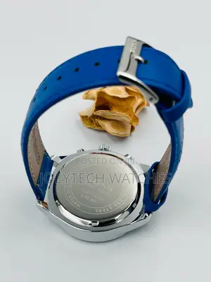 Blue Strap Hugo Boss Timepiece