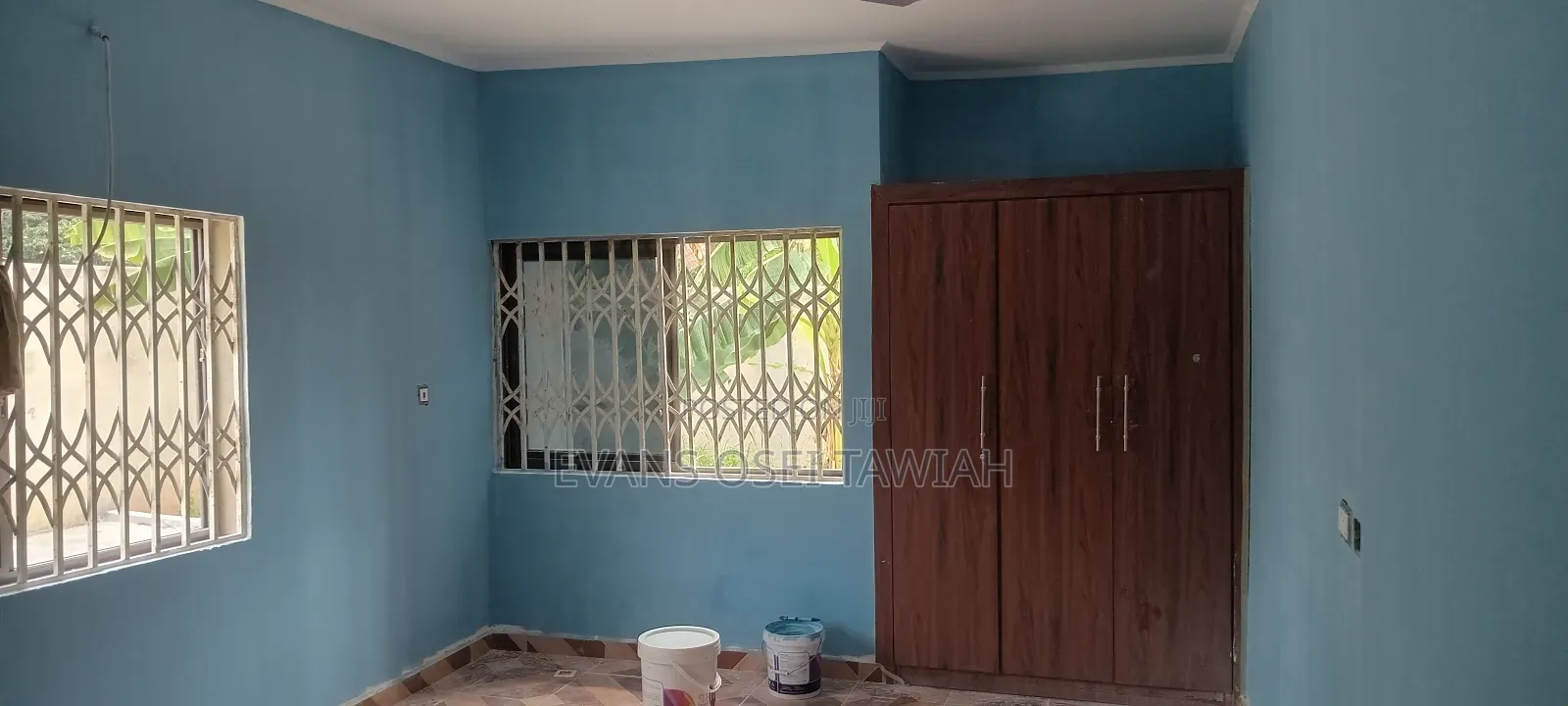 Professional Painter