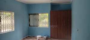 Professional Painter