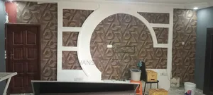 Professional Painter