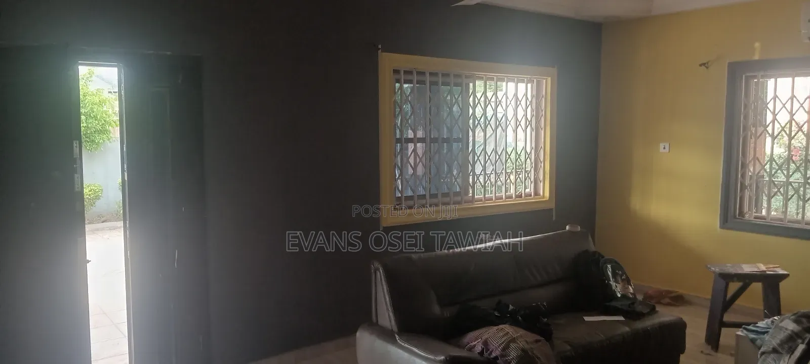 Professional Painter